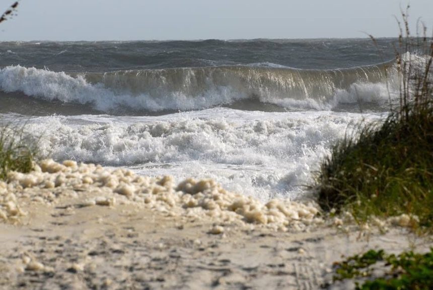 beach, gulf coast, weather