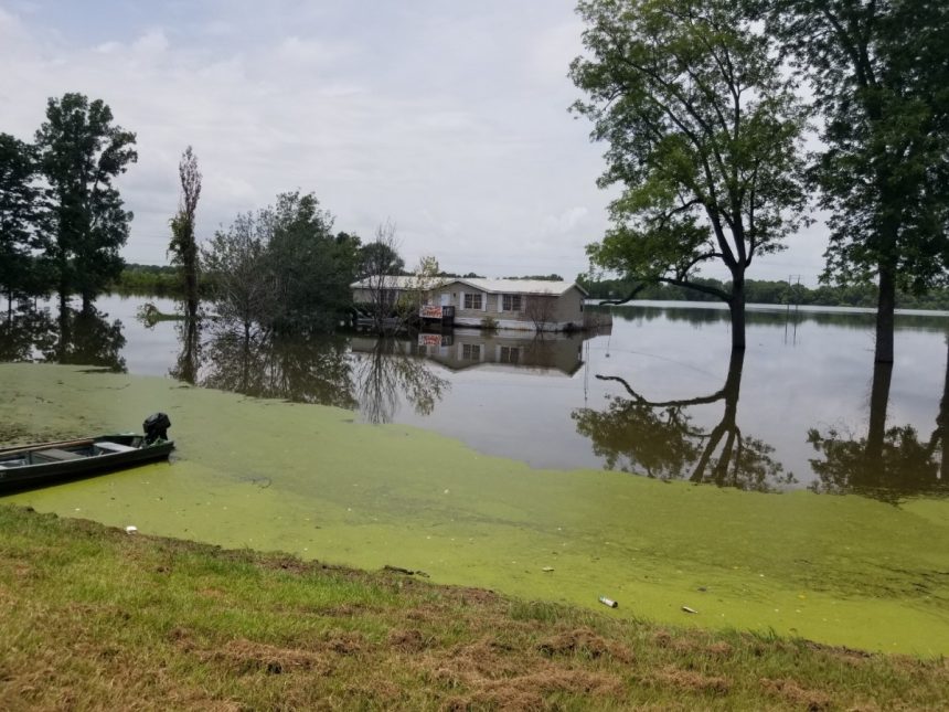 Delta Flood