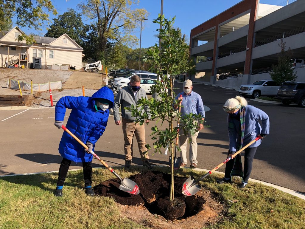 Arbor Day in Mississippi Celebrating forestry's impact on the state