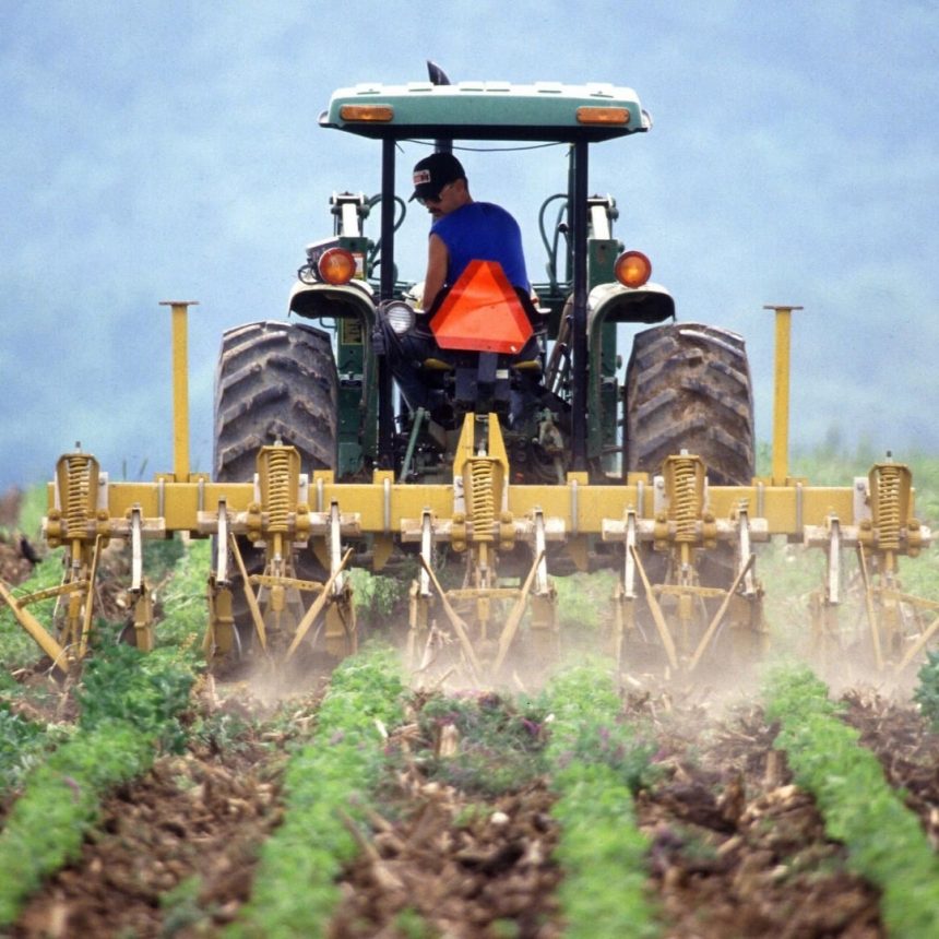 Mississippi Farm