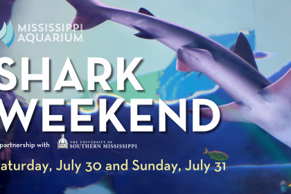 Shark Weekend