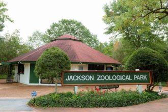 Jackson Zoo