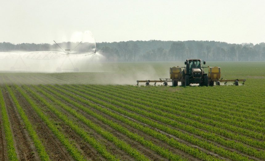 Mississippi Farm