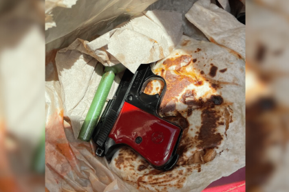 Quesadilla Gun