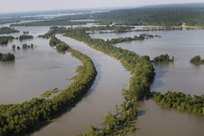 Yazoo Backwater Area