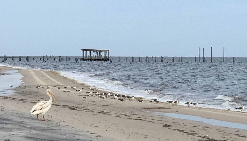 Belle Fontaine Beach