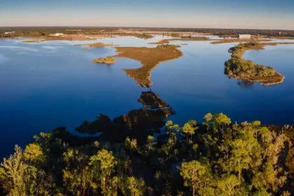 Mississippi Outdoors