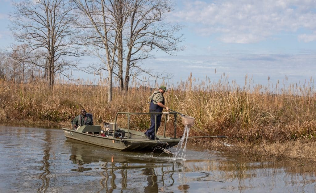 Department Of Wildlife, Fisheries, And Parks To Host Major Career Fair ...