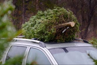 Christmas tree on vehicle