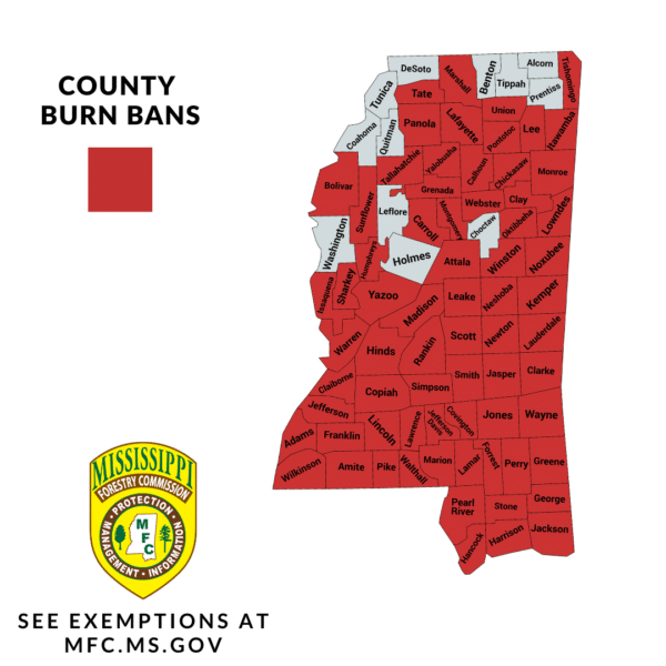 70 Mississippi counties under burn ban as extreme drought conditions