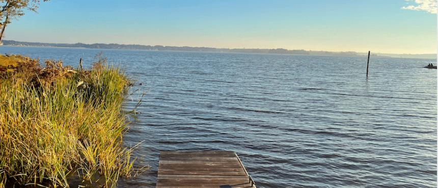 Pelahatchie Bay