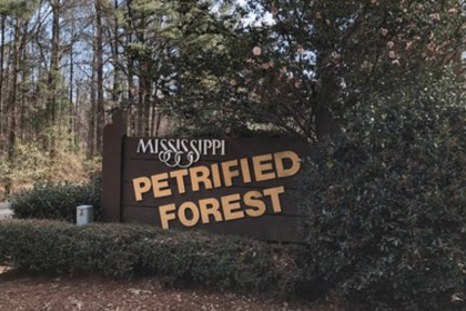 Mississippi Petrified Forest