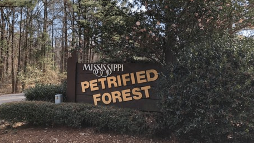 Mississippi Petrified Forest