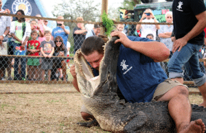 Gator ranch