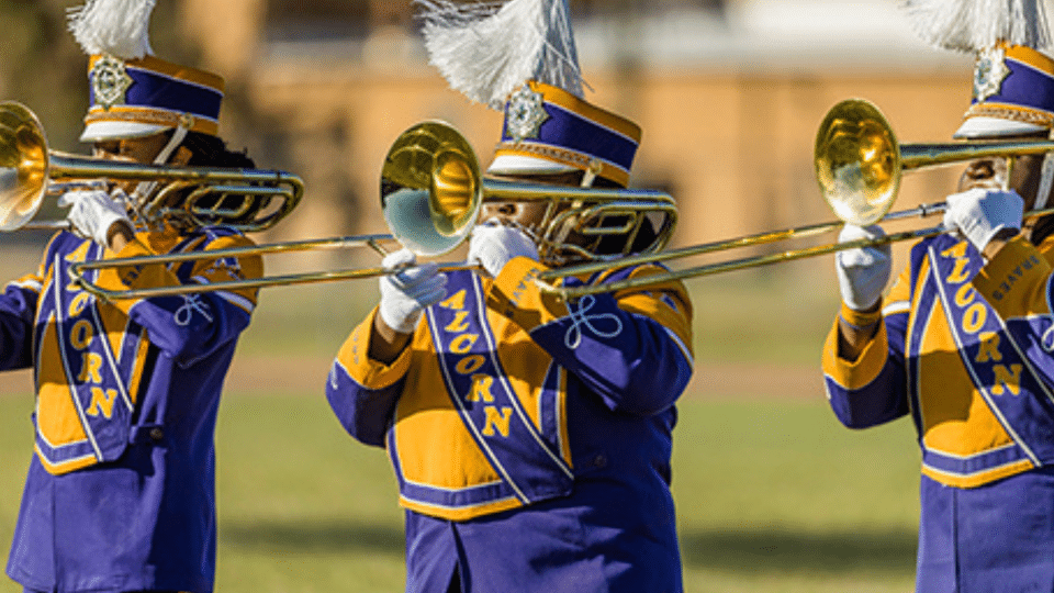 Alcorn State band