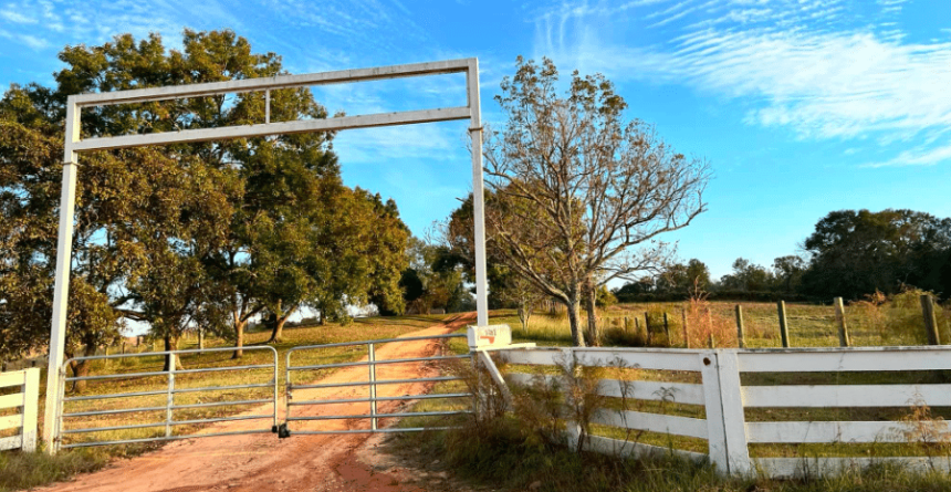 Windy Hills Beefmasters