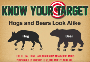 Bear/hog